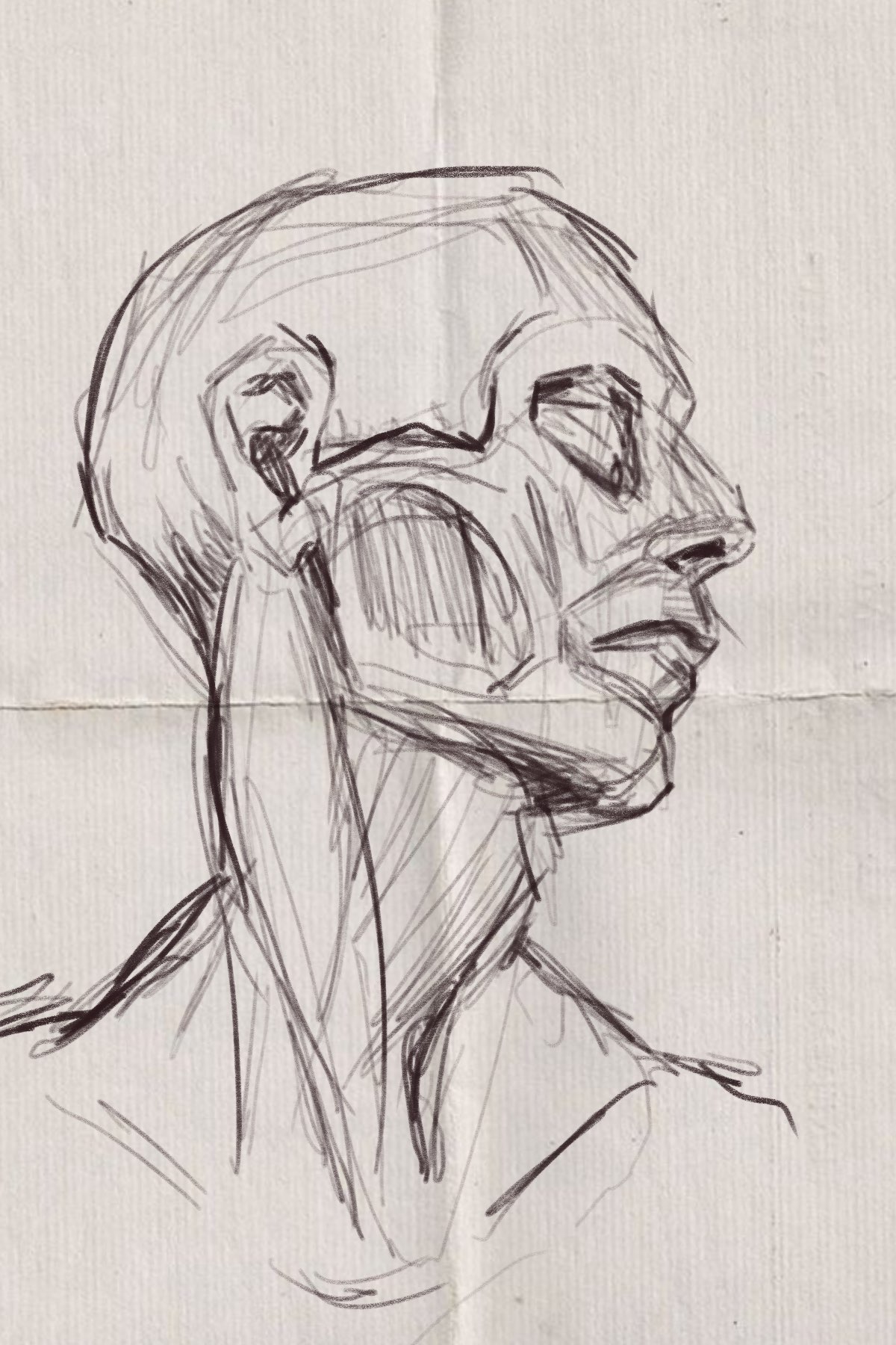 Study of Morpho 1, 2025